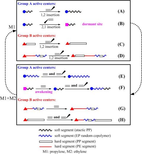 ʿIECRϷġEffects of Switching Frequency of a Periodic Switching Polymerization Process on the Microstructures of EthyleneCPropylene Copolymers in PP/Poly(ethylene-co-propylene) in-Reactor