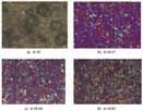 Curing kinetics of a novel combined liquid crystalline epoxy containing tetramethylbiphenyl and aromatic ester-type mesogenic group with diaminodiphenylsulfone