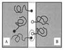 Reaction kinetics of multiphase polymer systems under flow