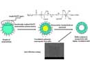 Hollow polymeric nanoparticles with highly crosslinked shells