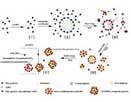 Schematic diagram of formation mechanism of raspberry-like ACR/silica nanocomposite particles