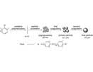 Nucleation mechanism of aqueous precipitation polymerization of PPO