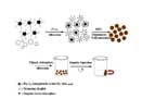 Magnetic macromolecular material