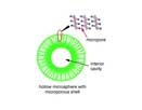 Ferrocenyl coordination polymer for hydrogen storage