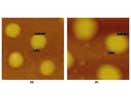 Protein separation material