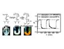 Acidic gas (SO2/CO2) sorption/desorption material