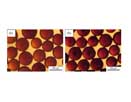 Magnetic microspheres for separation