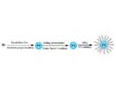 Brushes grafted intelligent microspheres